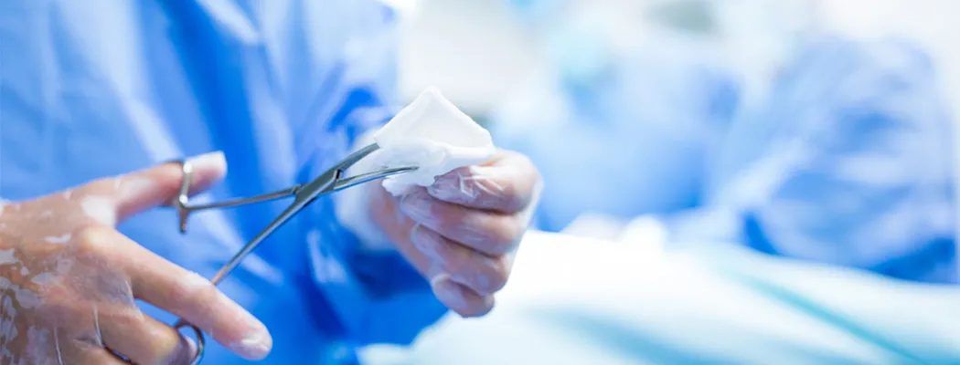 Surgeon's gloved hands holding forceps with gauze during an operation