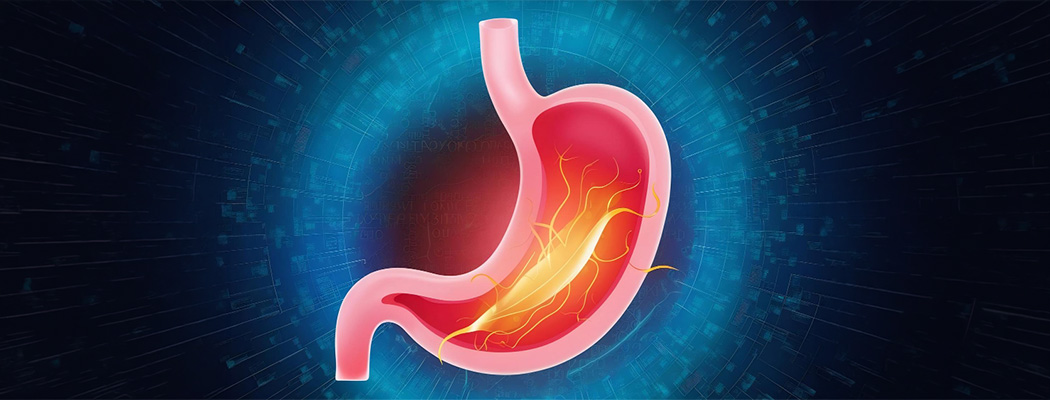 stomach with acid reflux and inflammation