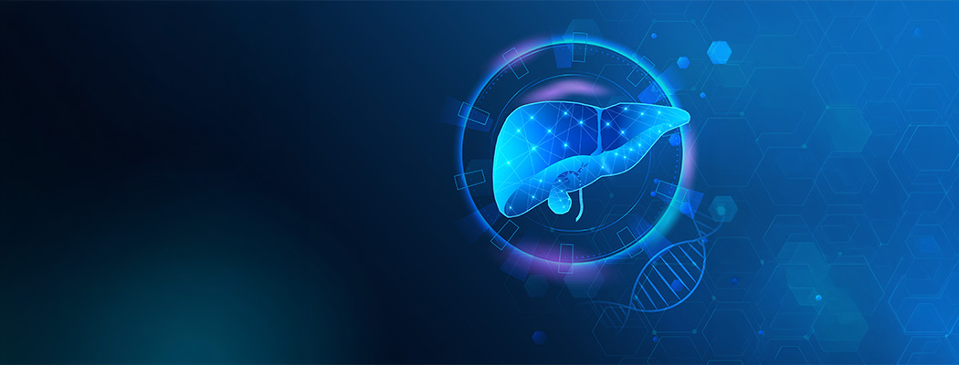 Digital illustration of a human liver
