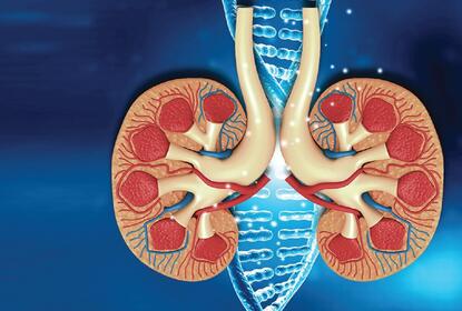 Chronic Kidney Disease in Young Adults | Kauvery Hospital