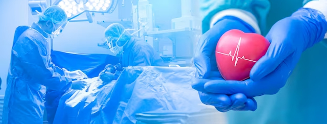 Doctor holding a model of a heart in hands