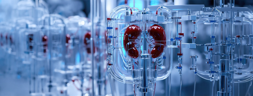 Early Signs You May Need Dialysis:  Symptoms of Advanced Kidney Disease 