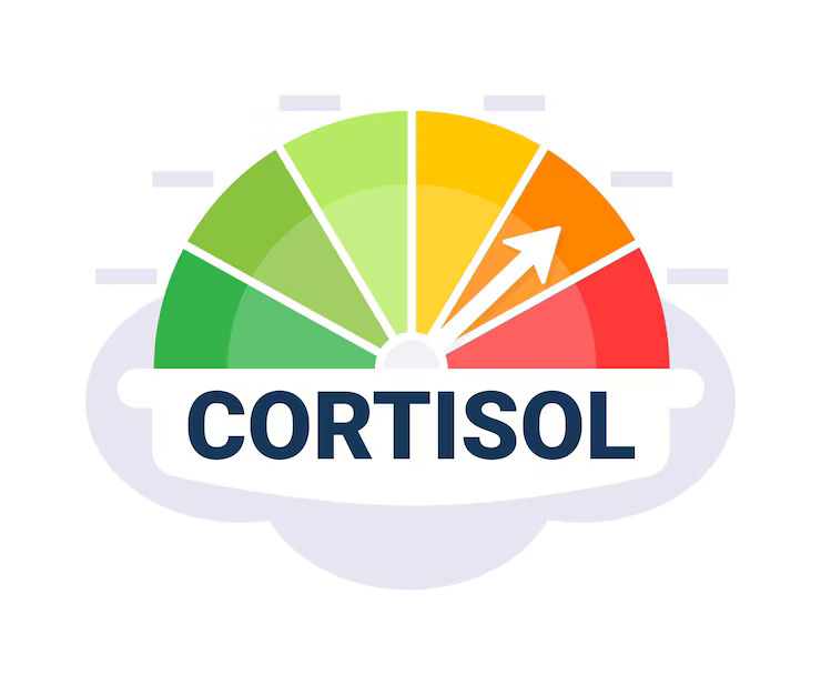 stress hormone level measurement with cortisol meter