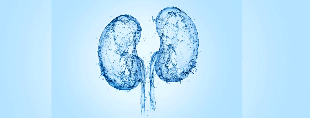 3D illustration of human kidney surrounded by water splash