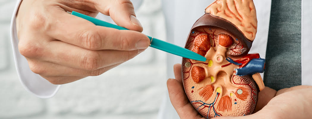 What Are the Causes, Signs, and Treatment for Kidney Failure?