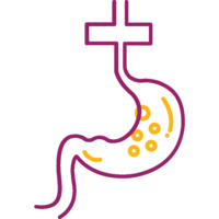 Gastroenterology Icon