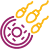 IVF and Infertility
