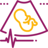 Perinatology / Fetal Medicine