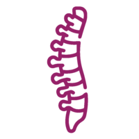Spine Care