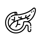 electrophysiologists-icon